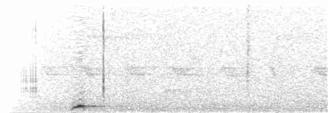 Підкіпка білогорла - ML203985041