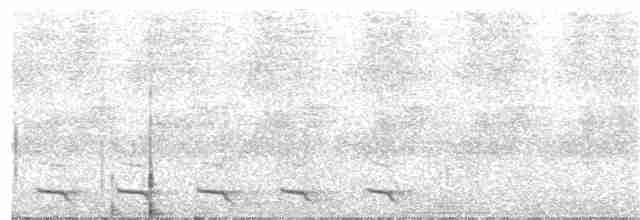 Trogon à queue blanche - ML203985121