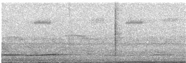 Gözlüklü Hokko (fasciolata/grayi) - ML203985151