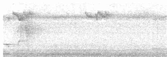 Соломонский карликовый попугайчик - ML203986081