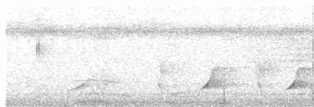 Oriole Whistler - ML203986091