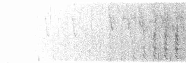 Курочка плямистобока - ML203986561