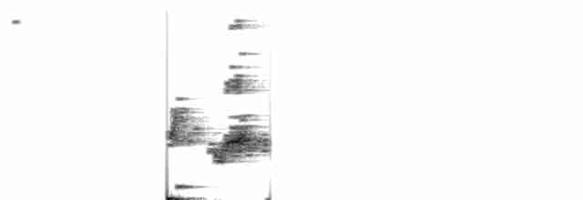  - Golden Cuckooshrike