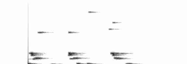 Large-tailed Nightjar - ML203987111