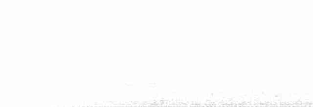 Курочка плямистобока - ML203988201