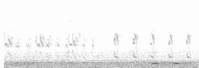 Южноамериканский лапчатоног - ML203988221