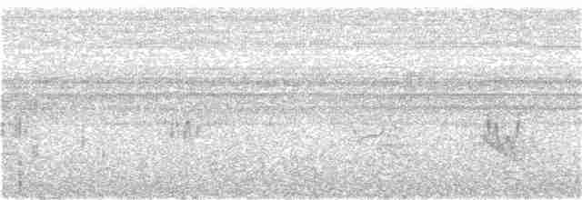 Small-billed Tinamou - ML203989201