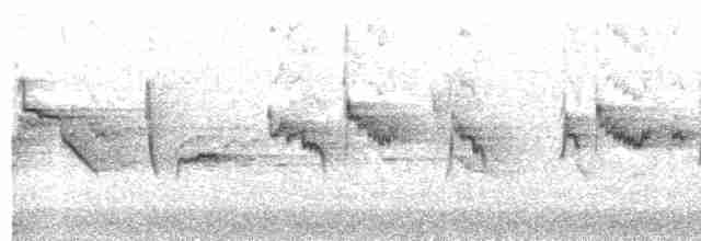  - Green-backed White-eye