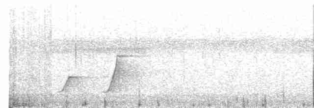  - New Caledonian Whistler