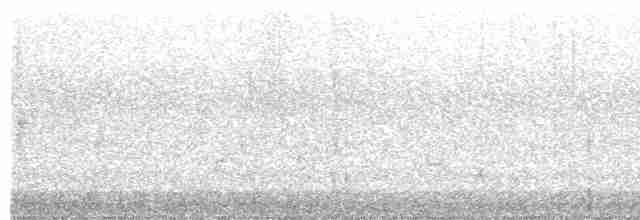 Маврикийская белоглазка - ML203990031
