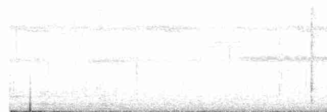 Яструб плямистохвостий - ML203990131