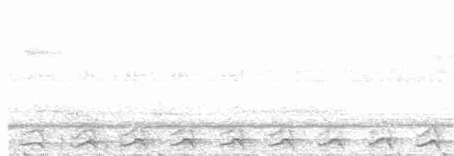 Пятнистая иглоногая сова - ML203990201