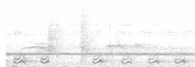 Ninoxe pointillée - ML203990211