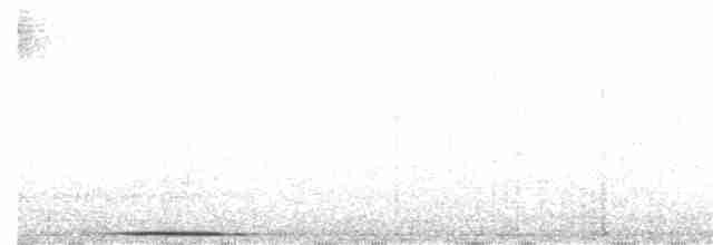 Bant Kuyruklu Güvercin [albilinea grubu] - ML203990631