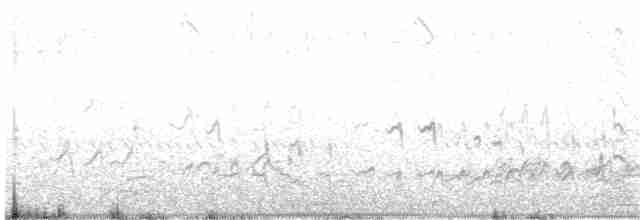 Kıl Kuyruklu Kumkuşu - ML203991151