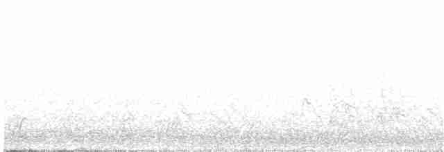 Gray-crowned Babbler - ML203991161