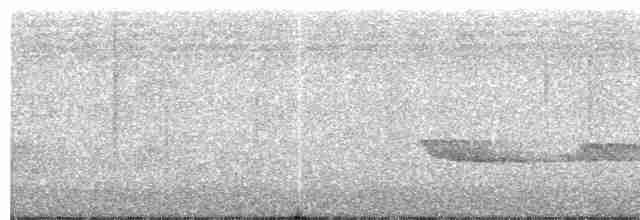 Swallow-tailed Manakin - ML203991451