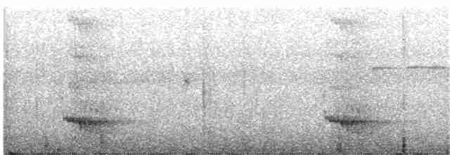 Синешапочный зимородок - ML203991781