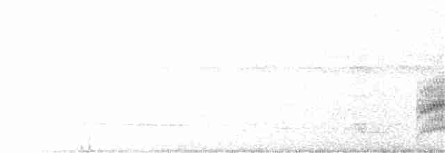 Dunkelbaumspäher - ML203992171