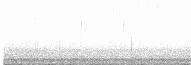 Sulphur-bellied Warbler - ML203992391