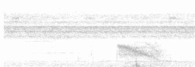 Rotspiegel-Ameisenvogel - ML203992541