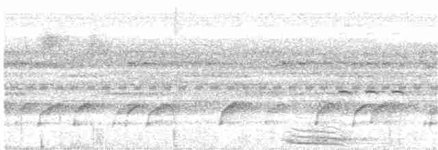 Zigzag Heron - ML203992581