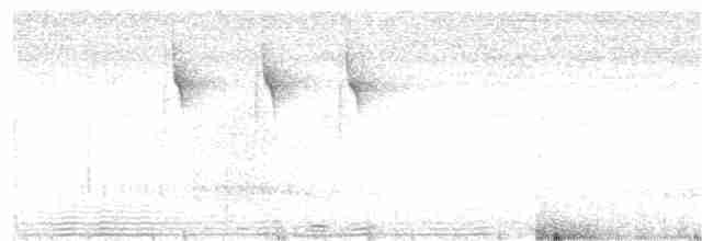 Ornate Stipplethroat (Western) - ML203992691