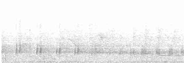 anhinga australská - ML203992881