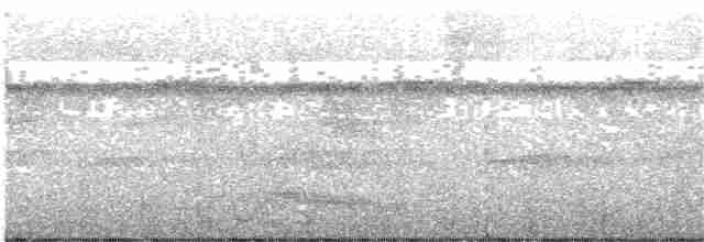 Weißkehl-Ameisenvogel - ML203993431
