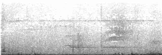 クリセアリドリ（maculifer／cassini） - ML203993501