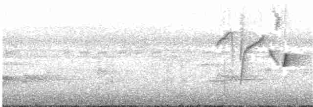 Серогрудый крапивник (brunneiceps) - ML203993961