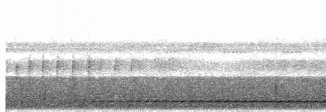výreček roraimský (ssp. roraimae) - ML203994021
