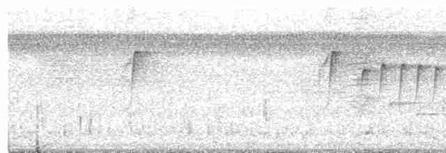 Fork-tailed Sunbird (Fork-tailed) - ML203994331