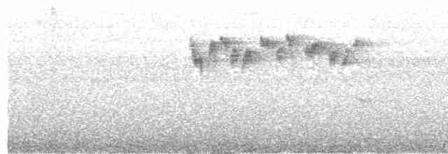  - Obscure Berrypecker