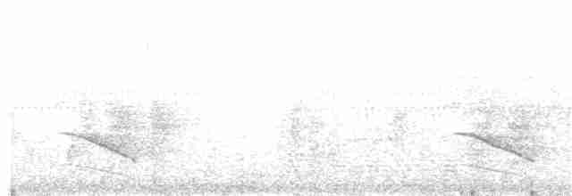 svartbuklarveeter - ML203994731