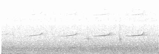 Дідрик смугастощокий (підвид plagosus) - ML203995011