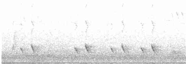 キボシホウセキドリ（ornatus） - ML203995031