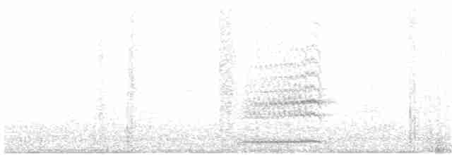 sovka bubuk [skupina boobook] - ML203995131
