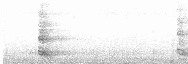 綠簑鷺(atricapilla群) - ML203995311