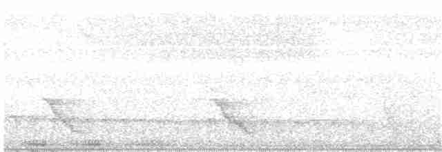 Австралийский пеликан - ML203995341