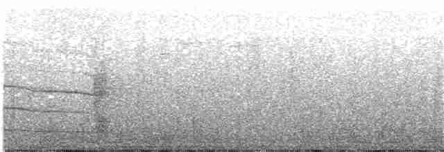 Толстоклювый мечник [группа promeropirhynchus] - ML203995481