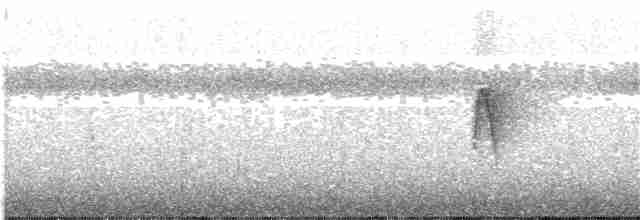 Sarı Alınlı Sinekkapan (ornatus/stellatus) - ML203995511