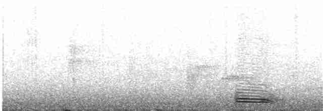 Plattschnabelmotmot [platyrhynchum-Gruppe] - ML203995551