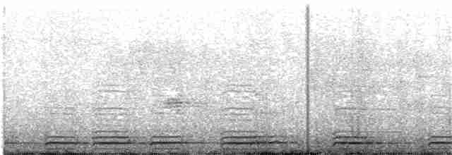 Toucan Barbet - ML203995571