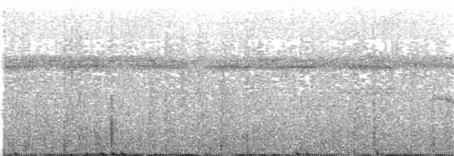 Schmalbrauen-Ameisenschnäpper - ML203995741