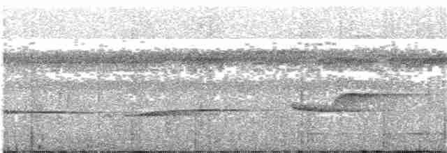 Drosselbekarde (amazonum) - ML203995901