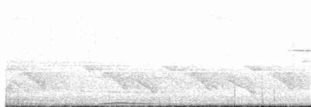 Kara Sırtlı Has Güvercin (sasakensis) - ML203996801