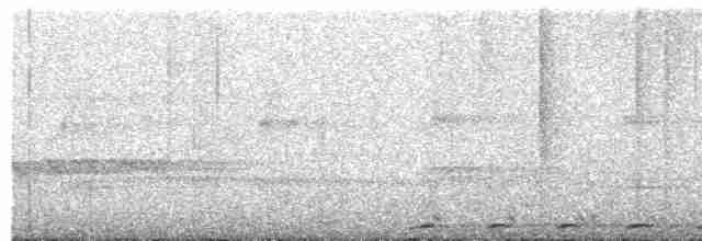  - Black-billed Cuckoo-Dove