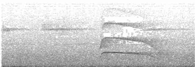 Пестрогрудый хохлатый орёл - ML203998121