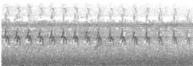 Дятел-коротун смугастокрилий - ML203998131